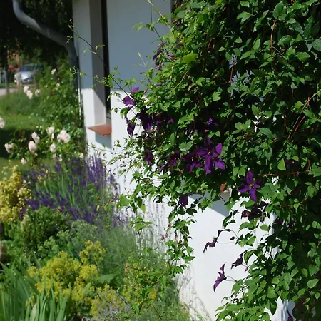 In Dargun Mit Garten, Cleaning Included